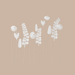 FIELD flowers – large - WHITE FIELD flowers